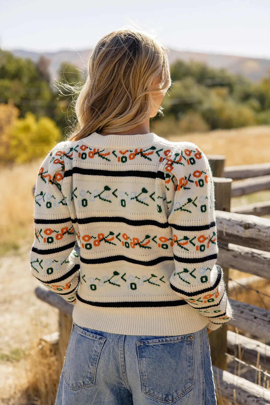 The Albatross Pattern Sweater